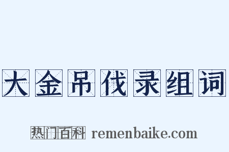 大金吊伐录组词是什么意思的图片